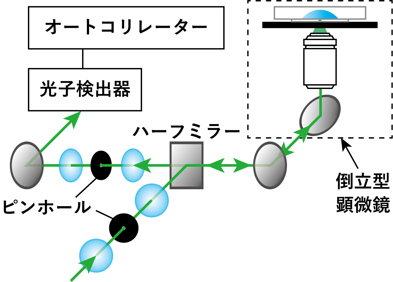 顕微動的光散乱の装置図